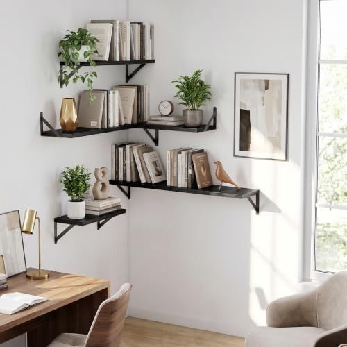 Dreamland Wall Mounted Floating Shelves Set of 3, 24x8, Black
