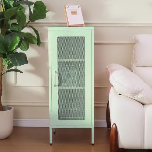 ALBAD Slim Metal Storage Cabinet with Mesh Door