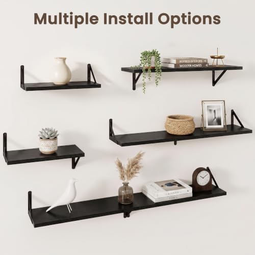 Dreamland Wall Mounted Floating Shelves Set of 3, 16x8, Black
