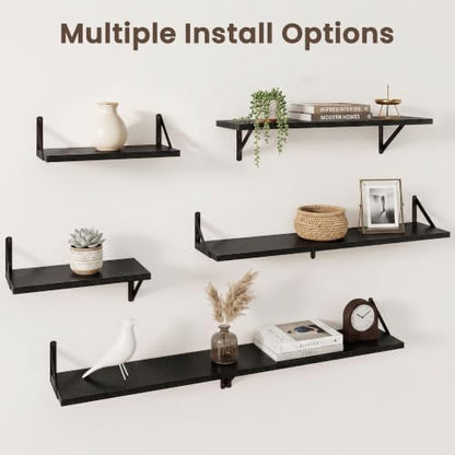 Dreamland Wall Mounted Floating Shelves Set of 3, 16x8, Black