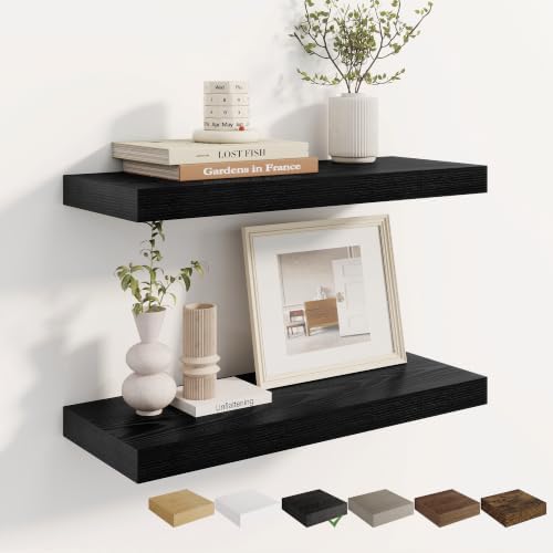 Dreamland 24 Inches Wall Mounted Wood Floating Shelves, Black, 2 Pack