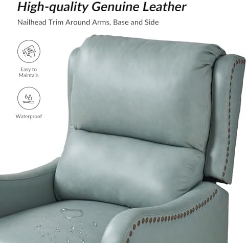 HULALA HOME Genuine Leather Recliner Chair, Grey