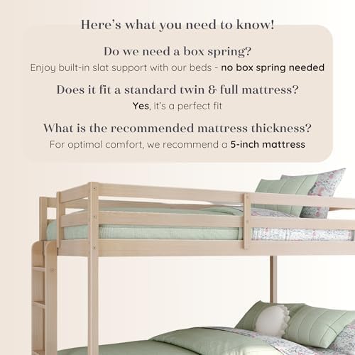Grain & Grove Bear Twin Over Full Bunk Bed, Sturdy Bunk Bed Frame for Kids, Plywood Bunk with Ladder, Guardrail, and Slats, No Box Spring Required, Oak Embossed Natural