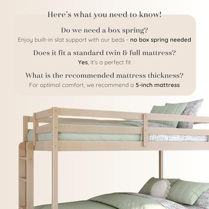 Grain & Grove Bear Twin Over Full Bunk Bed, Sturdy Bunk Bed Frame for Kids, Plywood Bunk with Ladder, Guardrail, and Slats, No Box Spring Required, Oak Embossed Natural