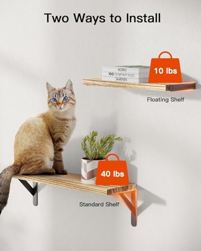 Amada Solid Paulownia Wood Wall Shelves, Medium Size, 6 Pcs, Natural Wood