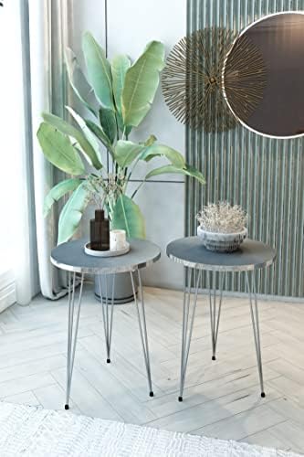 Set of 2 End Table - High Gloss Grey Wood Round Sofa Side Coffee Tables for Small Spaces, Nightstand Bedside Table with Metal Silver Legs for Small Spaces