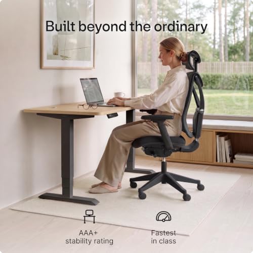 Desktronic HomePro Standing Desk 54x28 — Made in Europe, Ergonomic Sit Stand Home Office Desk, Electric Height Adjustable, Dual Motor, USB & USB-C Charging, Wobble-Free, Touchscreen, 3 Memory Presets