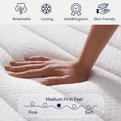 Upgraded Luxury 18 Inch Queen Size Hybrid Mattress in a Box, Medium Firm