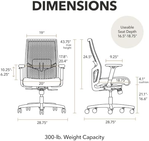 HON Ignition 2.0 ReActiv Ergonomic Office Chair, Lumbar Support, Nimbus