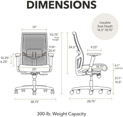 HON Ignition 2.0 ReActiv Ergonomic Office Chair, Lumbar Support, Nimbus