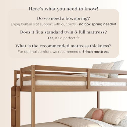 Grain & Grove Bear Twin Over Full Bunk Bed, Sturdy Bunk Bed Frame for Kids, Plywood Bunk with Ladder, Guardrail, and Slats, No Box Spring Required, Oak Embossed Pecan