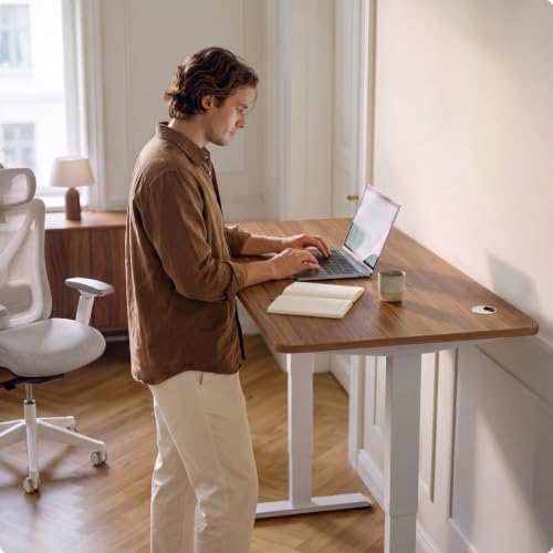 Desktronic HomePro Standing Desk 48x24 — Made in Europe, Ergonomic Sit Stand Home Office Desk, Electric Height Adjustable, Dual Motor, USB & USB-C Charging, Wobble-Free, Touchscreen, 3 Memory Presets