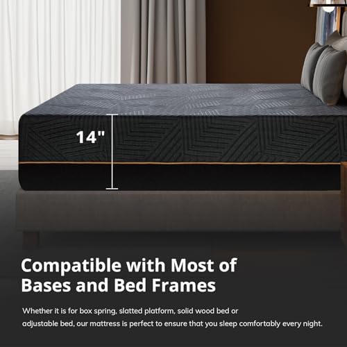 EGOHOME Cal King 14 " Memory Foam Mattress for Back Pain Relief Medium Firm