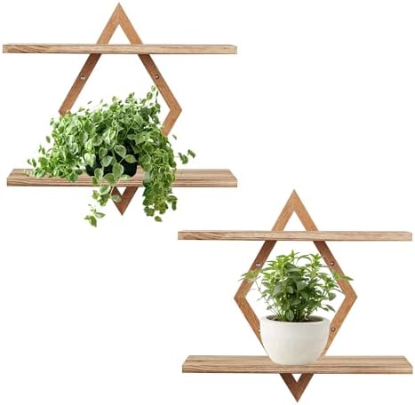 Floating Shelves for Wall,Decorative Wall Shelf,Plant Display Shelf Diamond