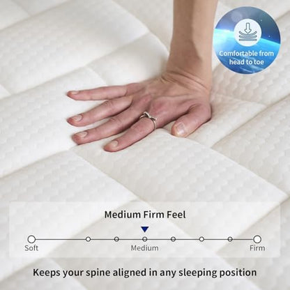 EVLWZL Queen Mattress, 12 Inch Queen Size Mattresses in a Box with Memory Foam Hybrid, Individual Pocket Spring for Provide Support and Improve Sleep,Medium Firm(White)