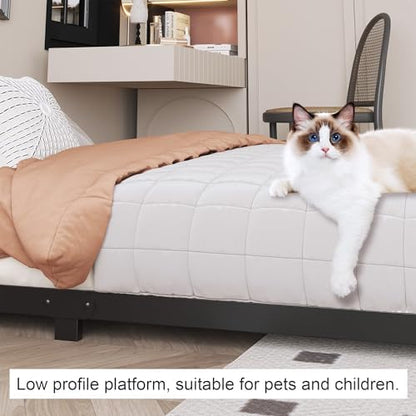 3 inch Twin XL Bed Frame with Rounded Corner, Low Profile Bed Frame