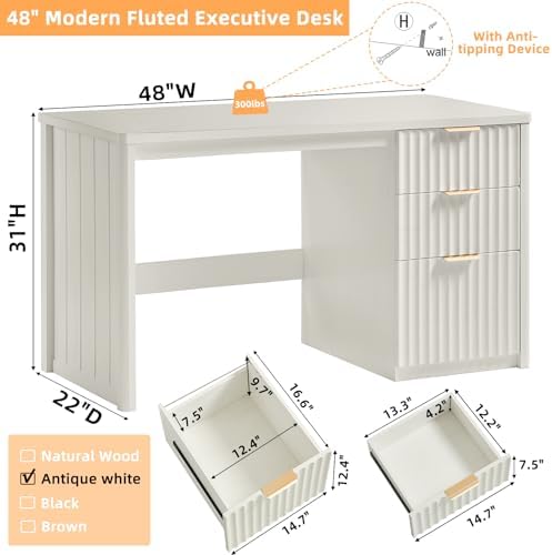 LEYAOYAO Office Desk 48" With 3 Drawers Storage File Cabinet