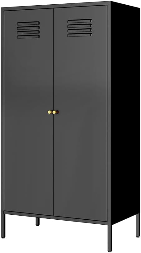 2 Door Metal Cabinet with Hanging Rod and 2 Freely Adjustable Shelves,Storage Locker Cabinet Closet for Office,Garage(Cabinet, Black)