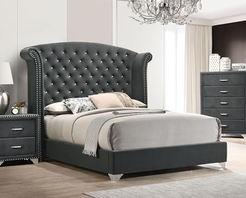 Coaster Melody Queen Velvet Wingback Bed with Nailhead Trim, Grey 223381Q