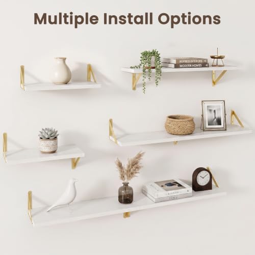 Dreamland Wall Mounted Floating Shelves Set of 3, 16x8, White&Gold