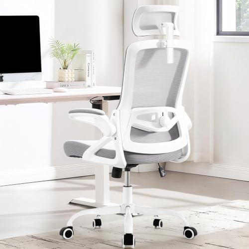 Fizzin Office Chair Mesh Computer Chairs with Adjustable Lumbar Support