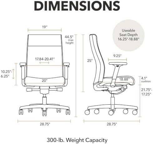 HON Ignition 2.0 Ergonomic Office Chair, Lumbar Support, Desk Chair, Black