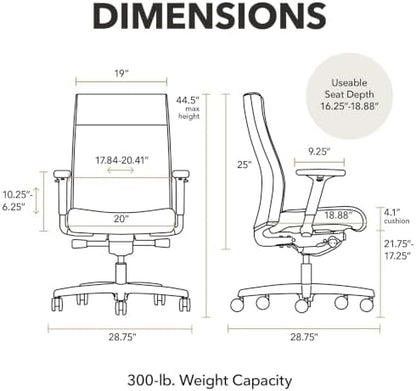 HON Ignition 2.0 Ergonomic Office Chair, Lumbar Support, Desk Chair, Black