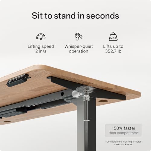 Desktronic HomePro Standing Desk 48x24 — Made in Europe, Ergonomic Sit Stand Home Office Desk, Electric Height Adjustable, Dual Motor, USB & USB-C Charging, Wobble-Free, Touchscreen, 3 Memory Presets