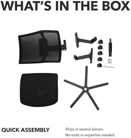 HON Ignition 2.0 Ergonomic Office Chair, Lumbar Support, Bullseye