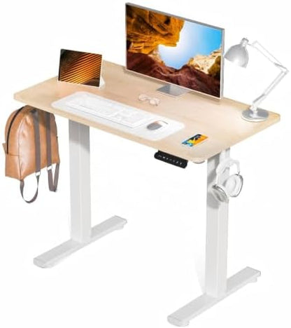 Standing Desk, 55x24 Inch Electric Height Adjustable Computer Desk
