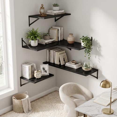 Dreamland Wall Mounted Floating Shelves Set of 3, 16x12, Black