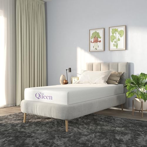 NapQueen Twin-XL Mattress, 6 Inch Charcoal Memory Foam Mattress, Twin-XL Bed Mattress in a Box, CertiPUR-US Certified, Medium Firm, Breathable Soft Fabric Cover