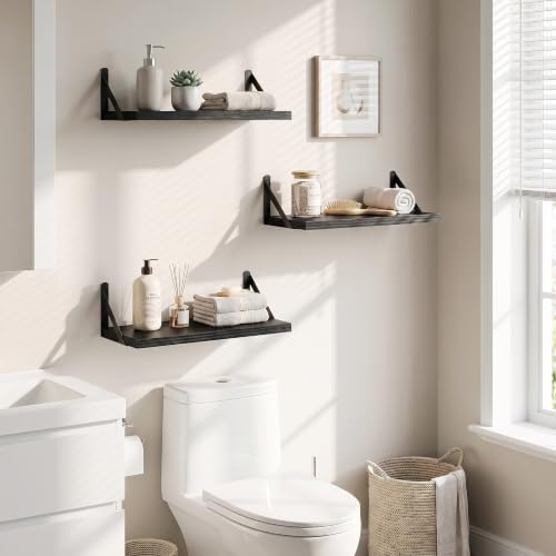 Dreamland Wall Mounted Floating Shelves Set of 3, 16x8, Black