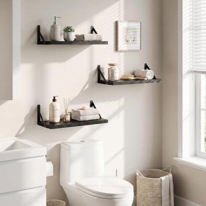 Dreamland Wall Mounted Floating Shelves Set of 3, 16x8, Black