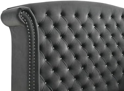Coaster Melody Queen Velvet Wingback Bed with Nailhead Trim, Grey 223381Q