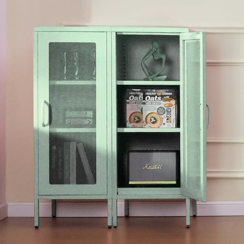 ALBAD Slim Metal Storage Cabinet with Mesh Door