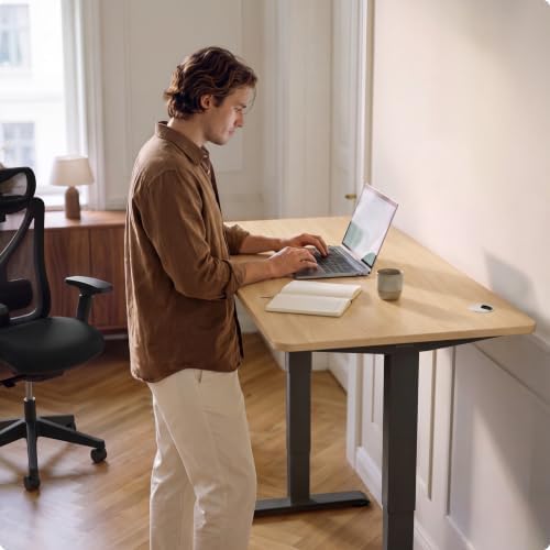Desktronic HomePro Standing Desk 54x28 — Made in Europe, Ergonomic Sit Stand Home Office Desk, Electric Height Adjustable, Dual Motor, USB & USB-C Charging, Wobble-Free, Touchscreen, 3 Memory Presets