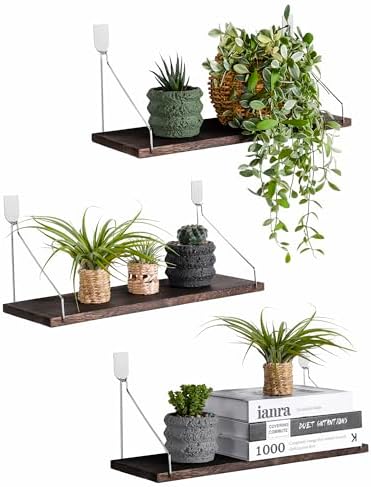Floating Wall Shelves, Rustic Wood Wall Mounted Shelf Set of 3