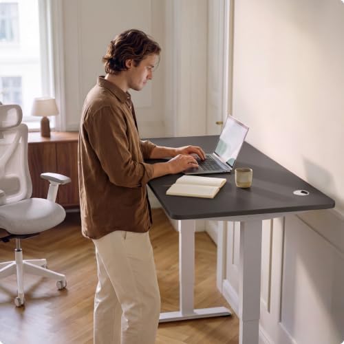 Desktronic HomePro Standing Desk 54x28 — Made in Europe, Ergonomic Sit Stand Home Office Desk, Electric Height Adjustable, Dual Motor, USB & USB-C Charging, Wobble-Free, Touchscreen, 3 Memory Presets