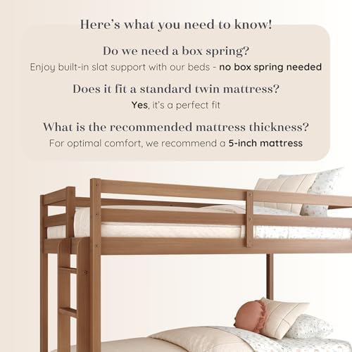 Bear Twin Over Twin Bunk Bed, Oak Embossed Pecan