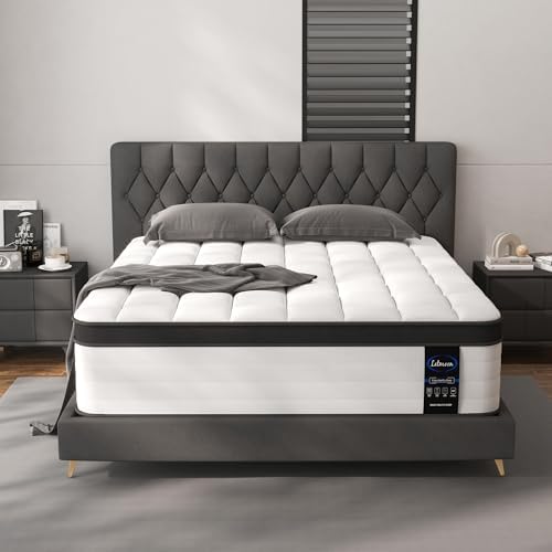 LETMOON 14inch Queen Mattress Hybrid Spring, Medium