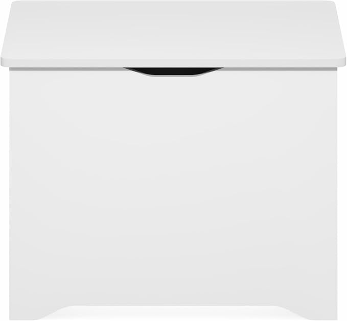 Furinno Basic Storage Chest, Storage Bench with Safety Hinged Soft Closed Lid, Storage Box, 15.6 x 23.6 x 18, for Living Room, Bedroom, Entryway, Living Room, White