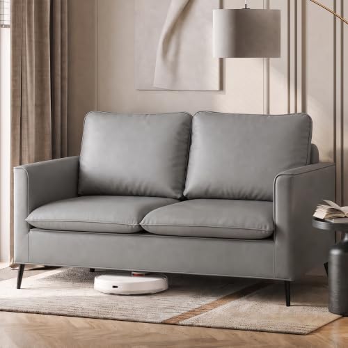 Faux Leather Loveseat Sofa, Small 2 Seater Couch for Small Spaces (Grey, 1)