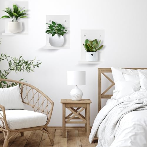 PHOENANCEE Small Wall Shelf Modern,Wooden Mini Floating Shelves,Indoor Wall Mounted Plants Shelf L Shaped,Midcentury Display Decorative Holder for Gallery Living Room Bedroom Porch,Pine,4 Pack(White)
