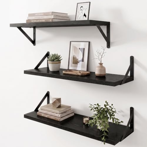 Dreamland Wall Mounted Floating Shelves Set of 3, 24x8, Black
