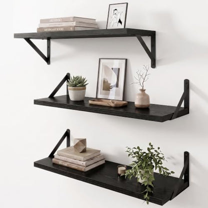 Dreamland Wall Mounted Floating Shelves Set of 3, 24x8, Black