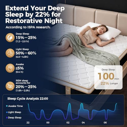 Queen Mattress 12 Inch, Pressure Relief and Motion Isolation