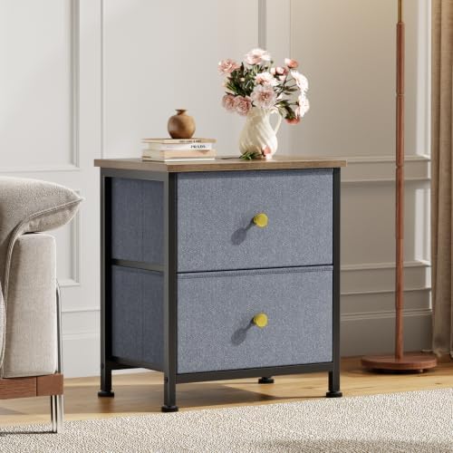 DUMOS Nightstand, Bedside Table for Bedroom, 2 Drawers Fabric Storage Chest