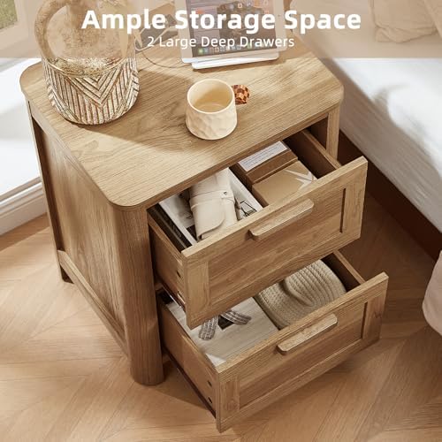 Joaxswe Farmhouse Nightstand Set of 2 with Charging Station, Brown