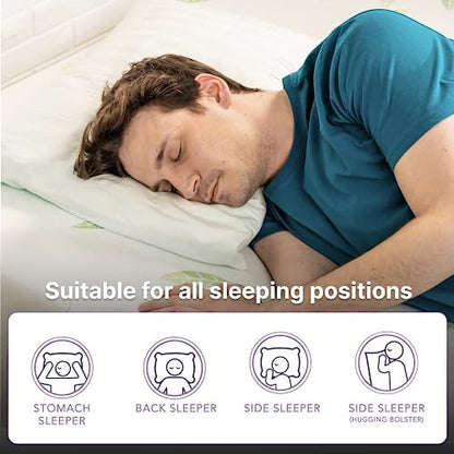 NapQueen Twin XL Size, 12 Inch Anula Green Tea Infused Memory Foam Mattress, Bed in a Box, CertiPUR-US Certified Mattress